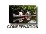 conservation, environment